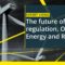 Expert views: the future of energy regulation, Open Energy and RIIO-ED2